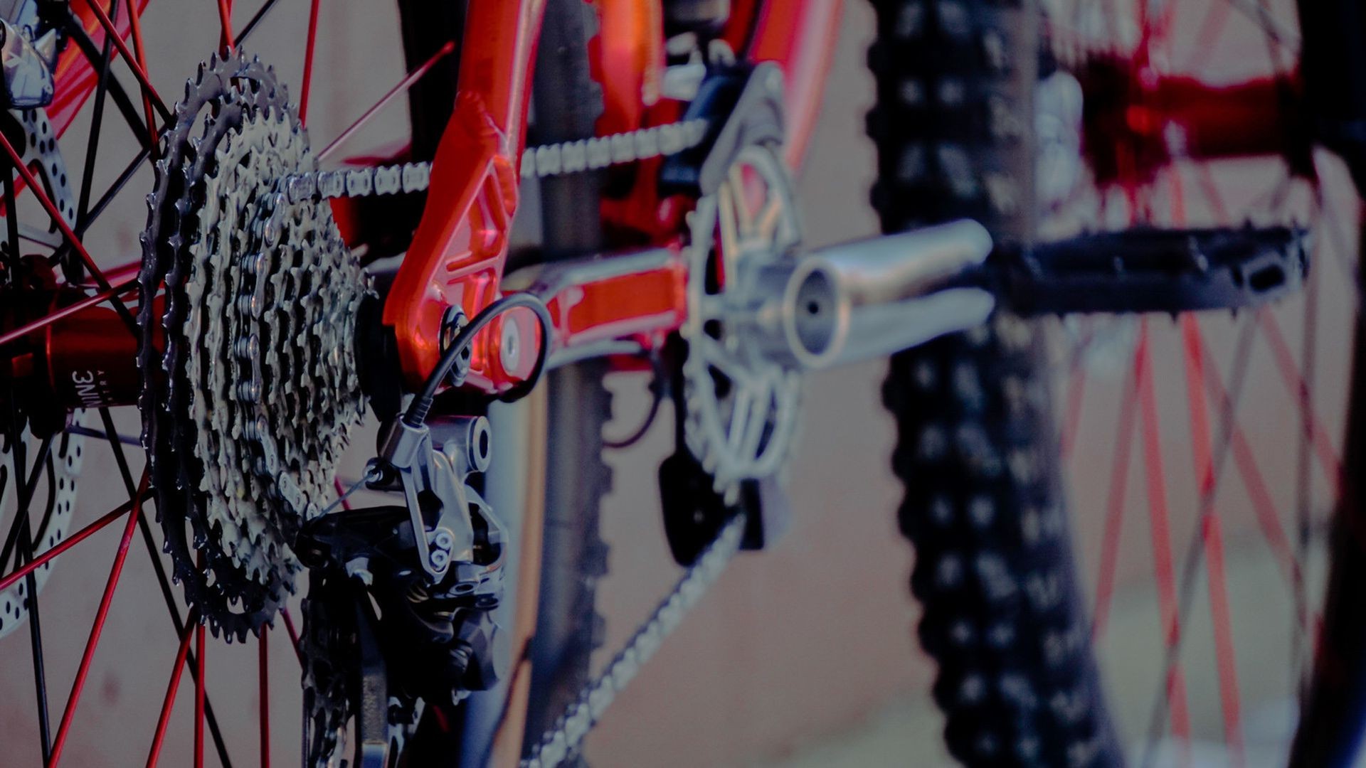 Derailleur Hanger for Anyone Bicycle